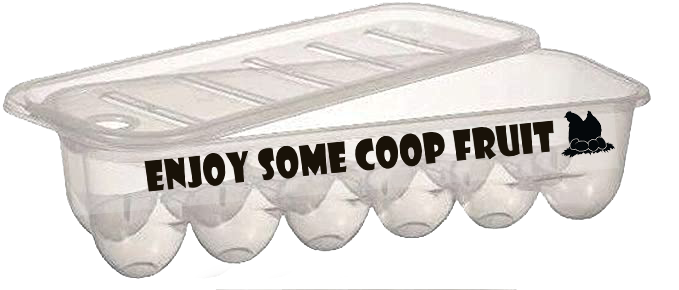 Egg Box - Enjoy Some Coop Fruit